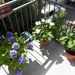 Paradise Mostar