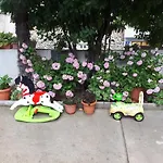 Paradise Mostar