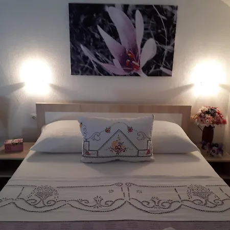 Apartment Paradise *