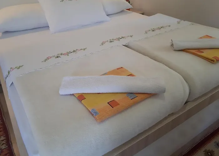 سيتي باراديس