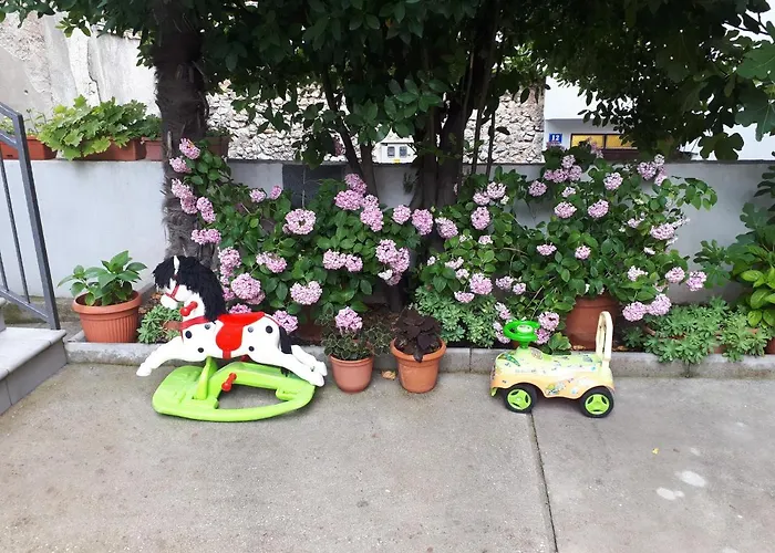 سيتي باراديس موستار