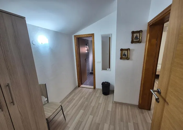 سيتي باراديس موستار