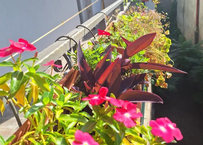 Paradise Διαμέρισμα *