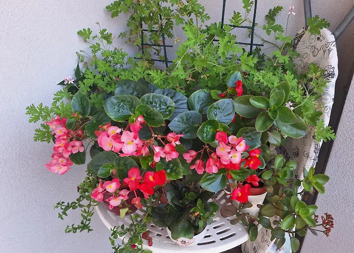 Paradise Διαμέρισμα Μόσταρ