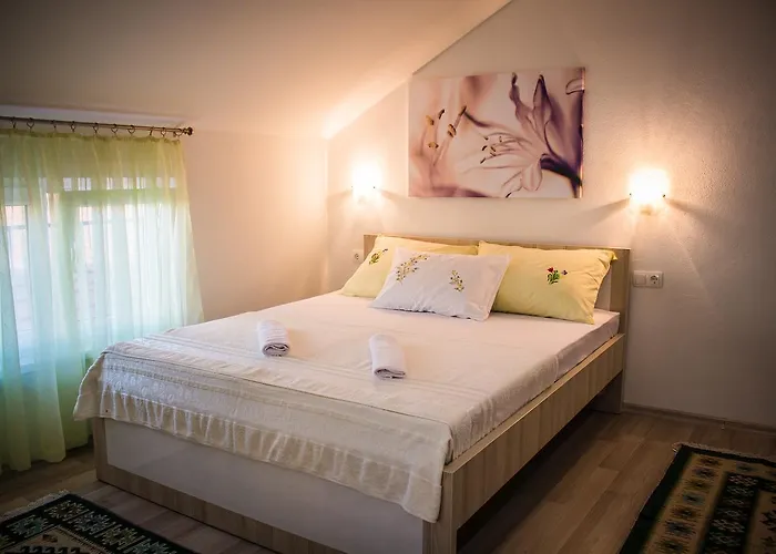 سيتي باراديس